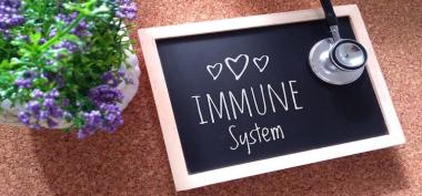 4 Penyebab Lemahnya Sistem Imun 