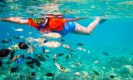 Nikmati Wisata Snorkeling di Bali Bersama Wisata Baliku Tour & Travel